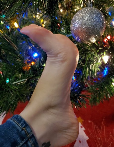 Sloan_paws