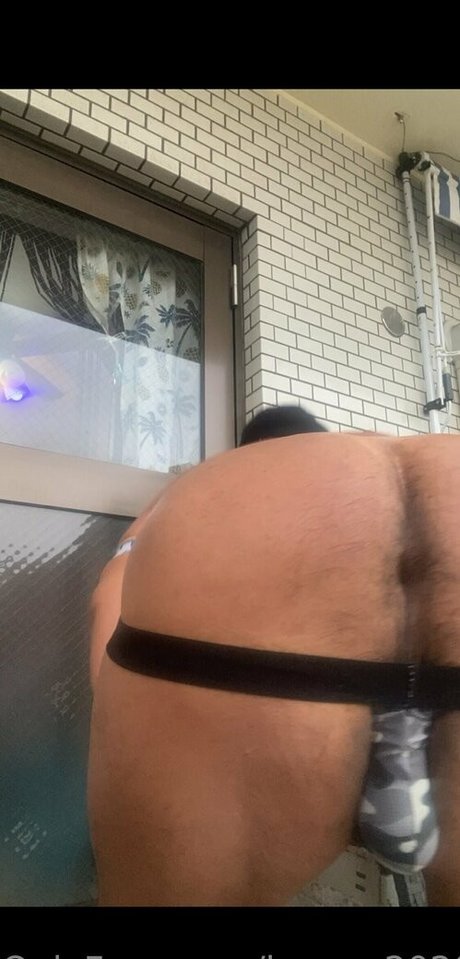 Bears_2020