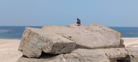 Poilsdesorcier Efree