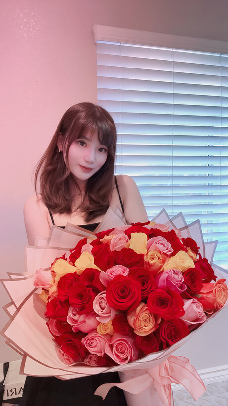 Nicolove Cc