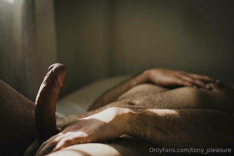 Tony Pleasure