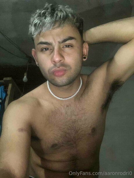 Aaronrodri0