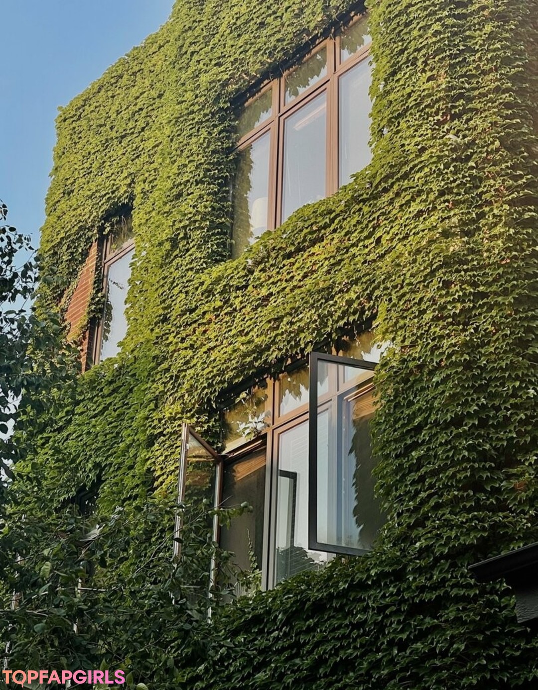 Photo nue de fuite OnlyFans de Victoriamyers #109 Photo nue de fuite OnlyFans de Victoriamyers #109