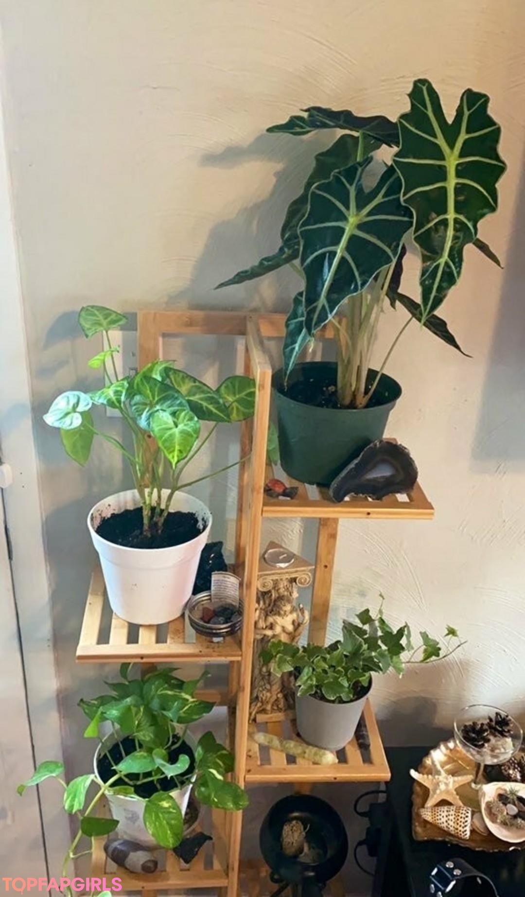 Photo nue de fuite OnlyFans de Goddessnikkikit #27 Photo nue de fuite OnlyFans de Goddessnikkikit #27