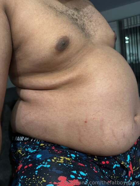Thefatboygains
