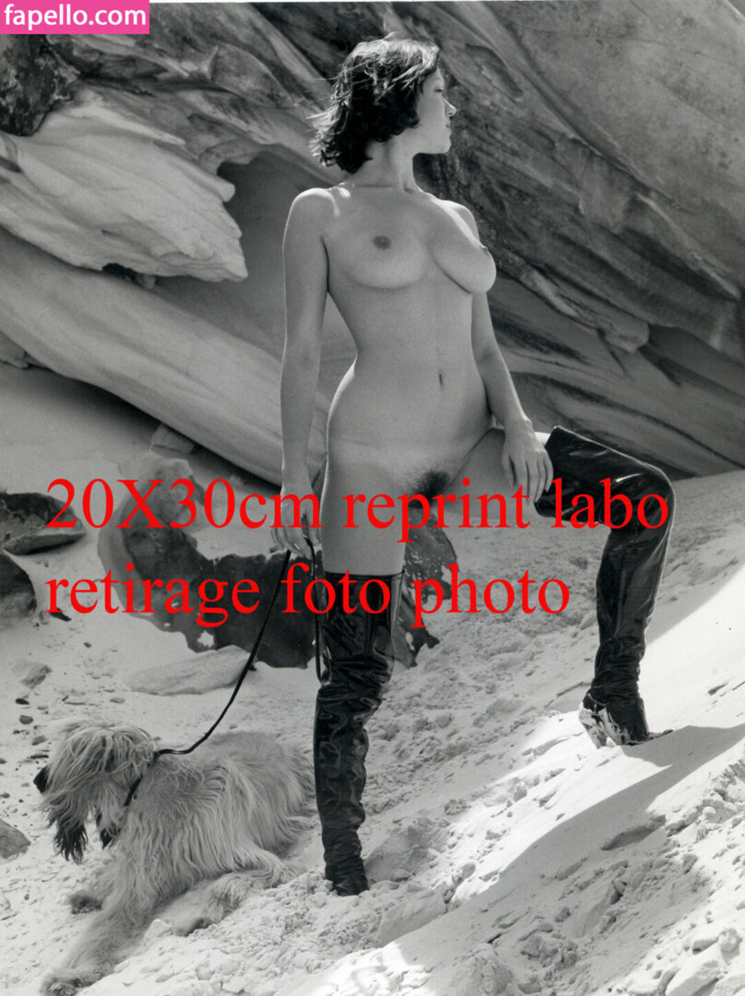Photo nue de fuite OnlyFans de Brigitte Lahaie #60 Photo nue de fuite OnlyFans de Brigitte Lahaie #60