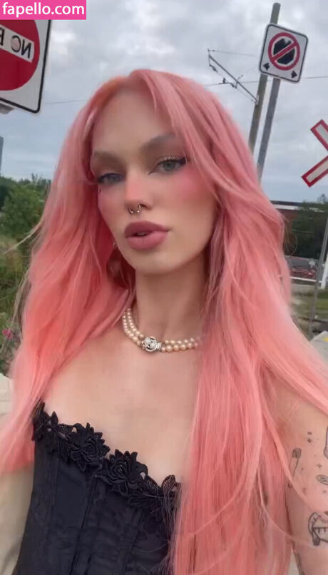Gtayy Stargirl