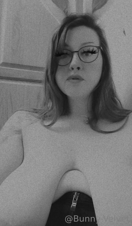 Bunny-velvet
