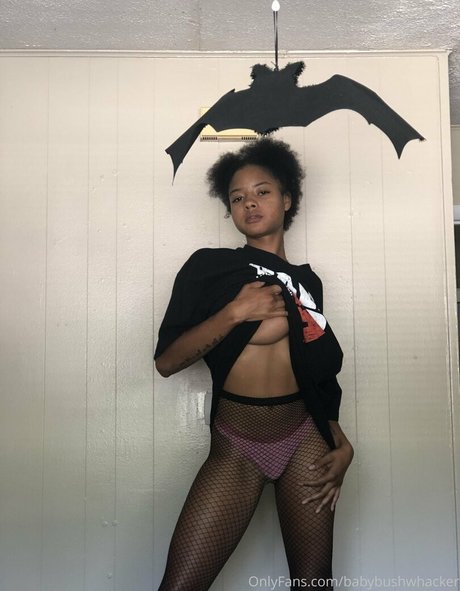 Bush Baby