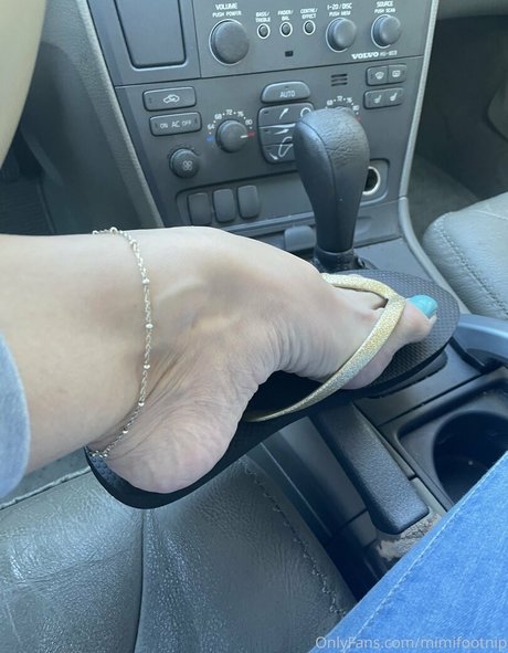 Mimifootnip