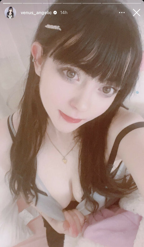 Venus Angelic