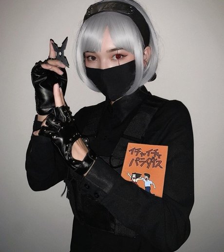 Ninja.Vi