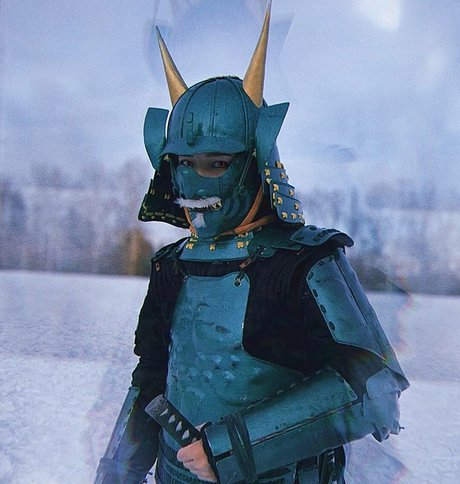 Ninja.Vi