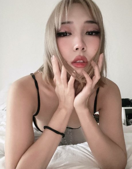 Ninja.Vi