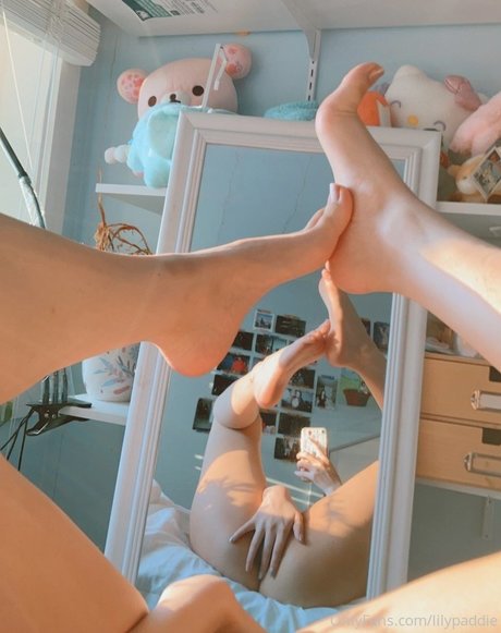 Lilypaddie