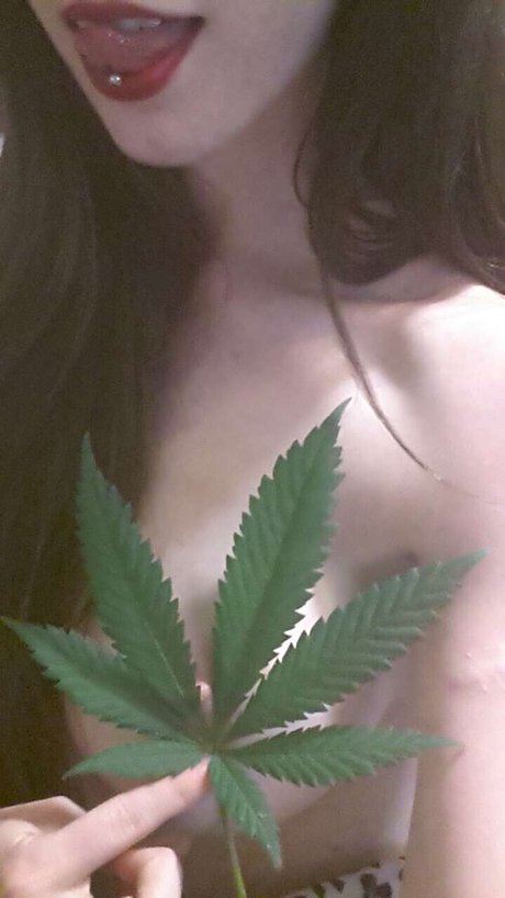 Photo nue de fuite OnlyFans de Forest Nymph