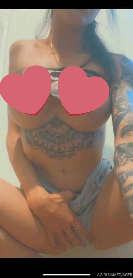Agirlnamedjager
