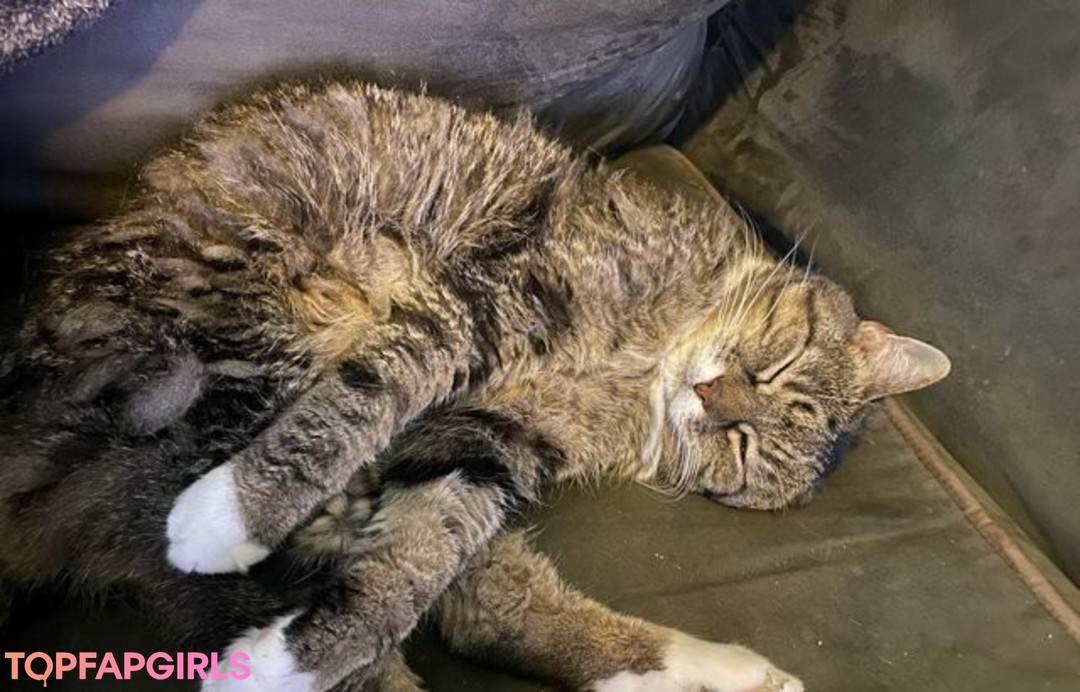 Photo nue de fuite OnlyFans de Scarlett Jade #165 Photo nue de fuite OnlyFans de Scarlett Jade #165