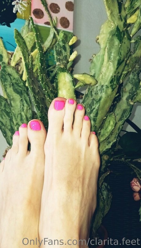 Claritafeet