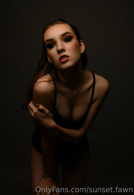 Sunset.fawn
