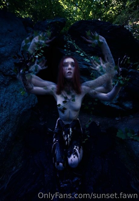 Sunset.fawn