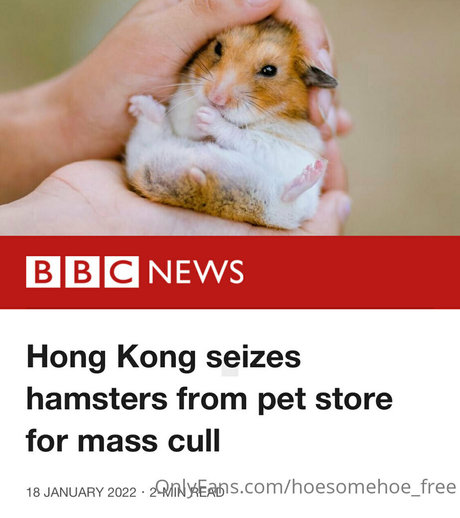 Melissa_cho_chang_free