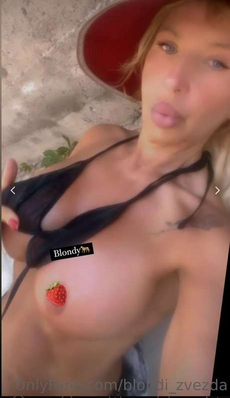 Blondi Zvezda