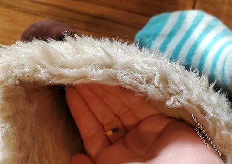 Toepazfeetures