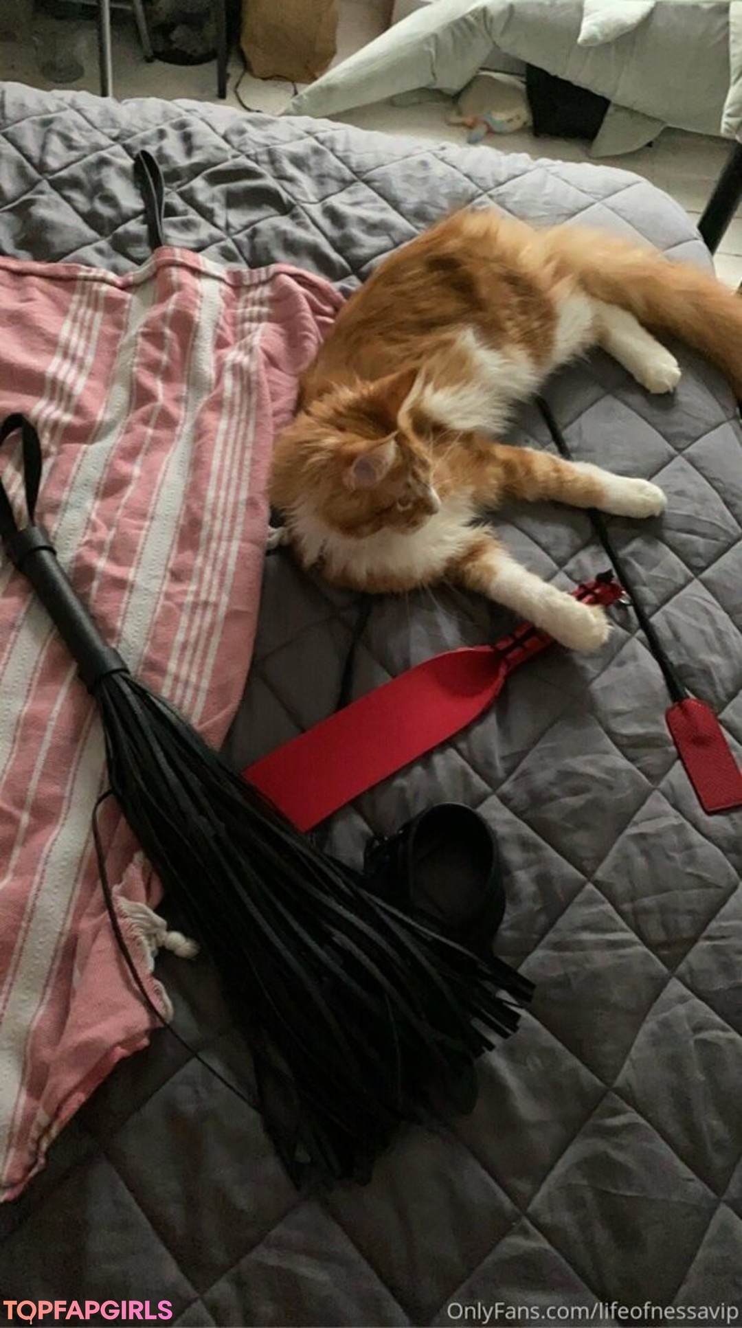 Photo nue de fuite OnlyFans de Lifeofnessavip #369 Photo nue de fuite OnlyFans de Lifeofnessavip #369