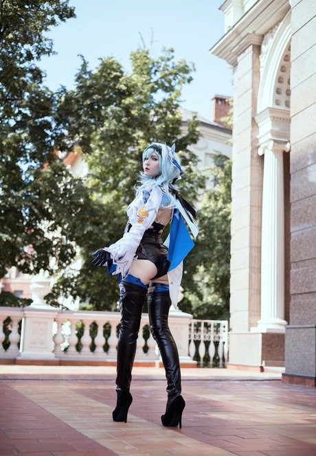 Erodaicon
