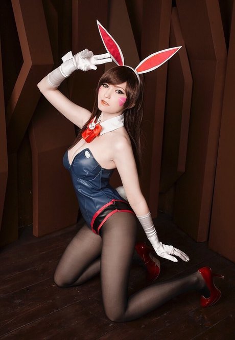 Erodaicon