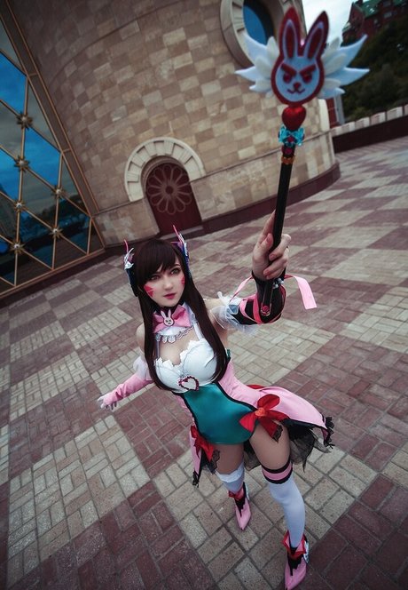 Erodaicon