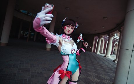 Erodaicon