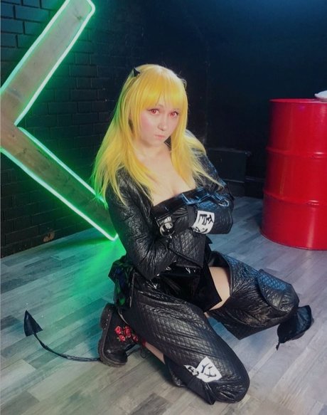 Erodaicon
