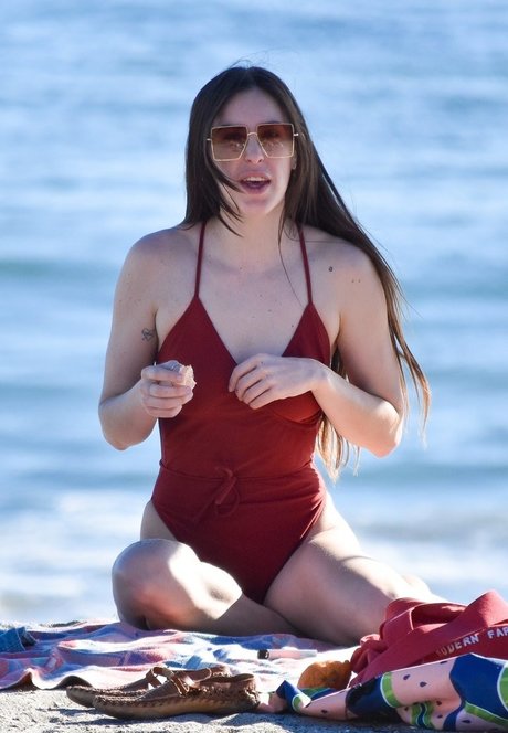 Scout Willis