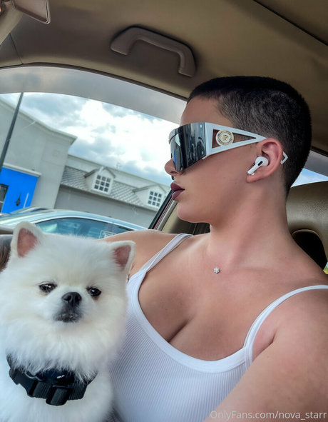 Nova_starr