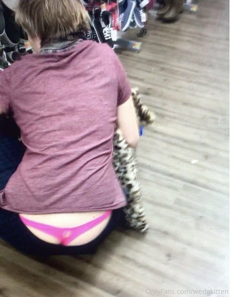 Wedgkitten