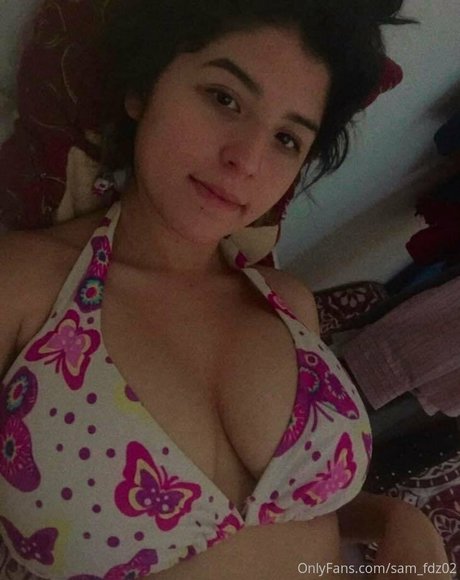 Sam_fdz02