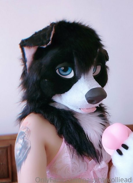 Photo nue de fuite OnlyFans de Naughtycolliead