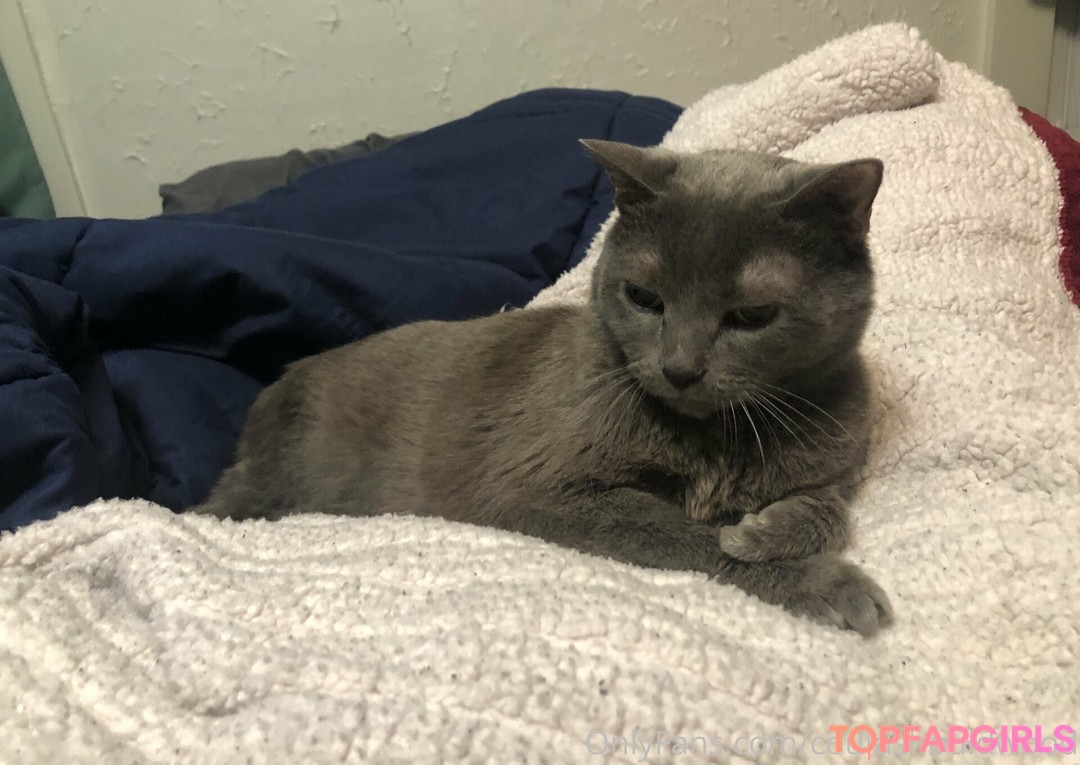 Photo nue de fuite OnlyFans de Couldshouldwood #23 Photo nue de fuite OnlyFans de Couldshouldwood #23