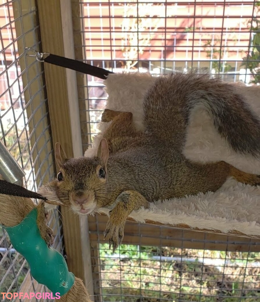 Photo nue de fuite OnlyFans de Mikaylarainesfans #38 Photo nue de fuite OnlyFans de Mikaylarainesfans #38