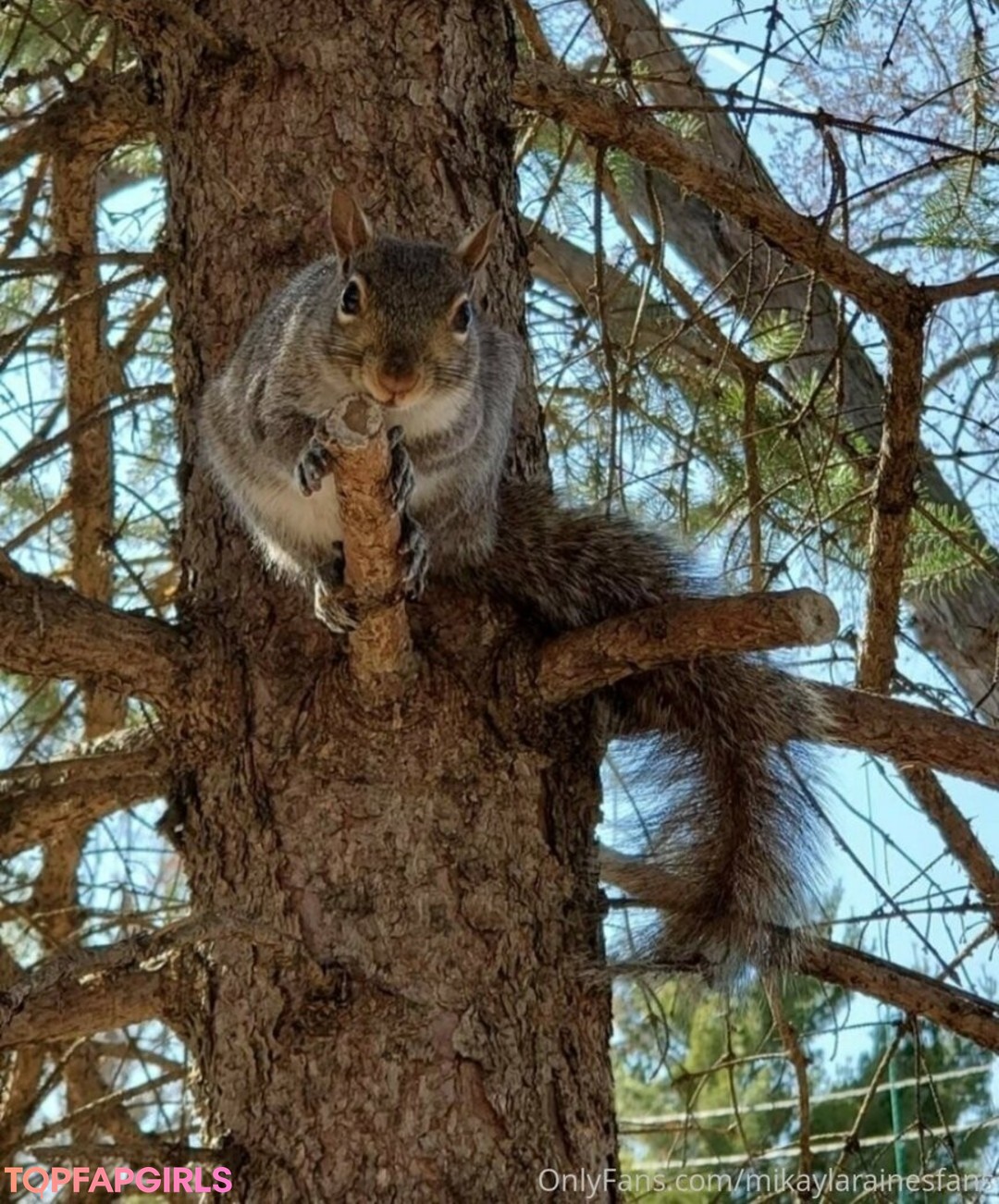 Photo nue de fuite OnlyFans de Mikaylarainesfans #44 Photo nue de fuite OnlyFans de Mikaylarainesfans #44