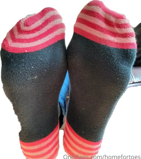 Homefortoes