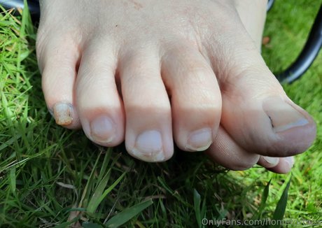Homefortoes