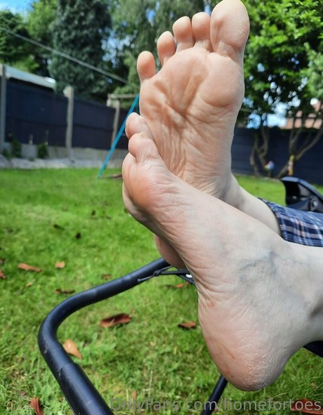 Homefortoes
