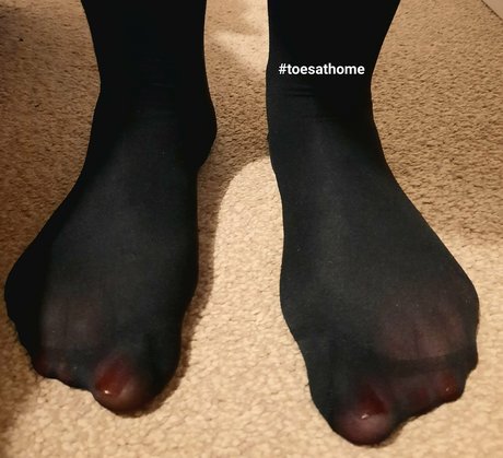 Homefortoes