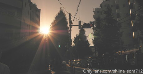 Shiina_sora712