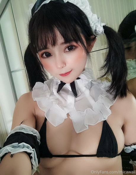 Mica_03021993