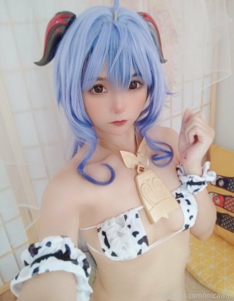 Mica_03021993