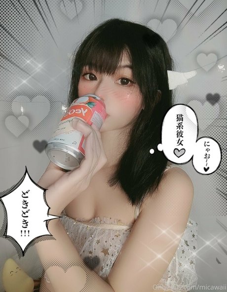 Mica_03021993